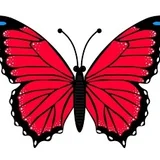 Mariposa