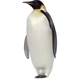 Mrduk