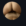 Malvadax