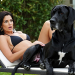 Tuve sexo con un Gran Danés